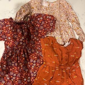 Lot of 3 Cat and Jack Fall Toddler Dresses